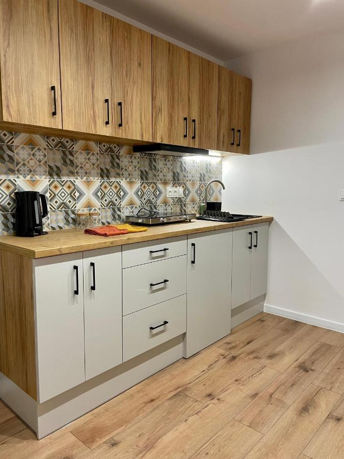Przestronny Apartament W Centrum Miasta Radom Exteriér fotografie